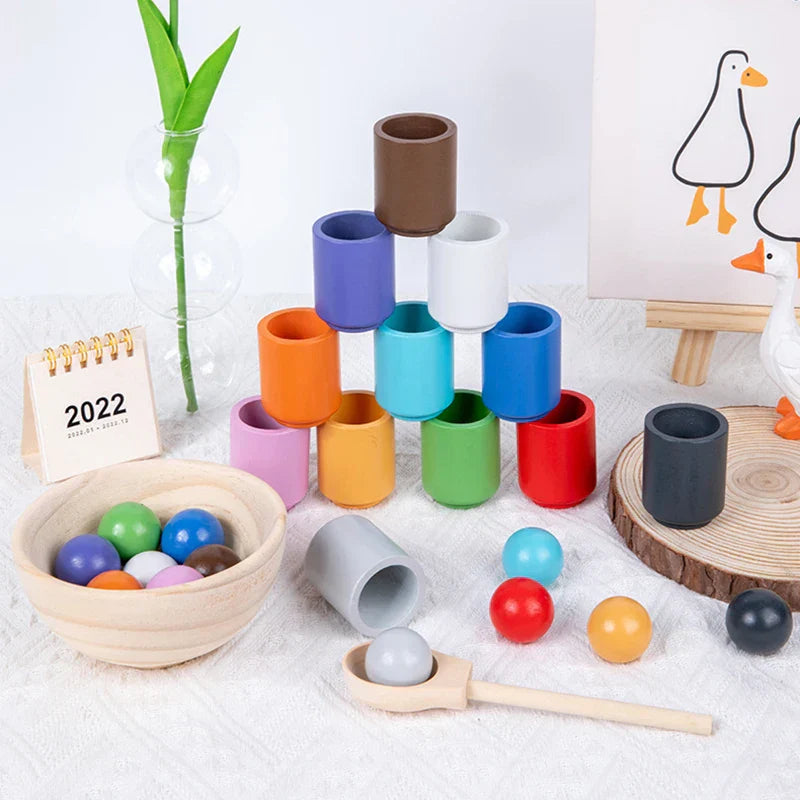Montessori Wooden Sorting Toy for Toddlers