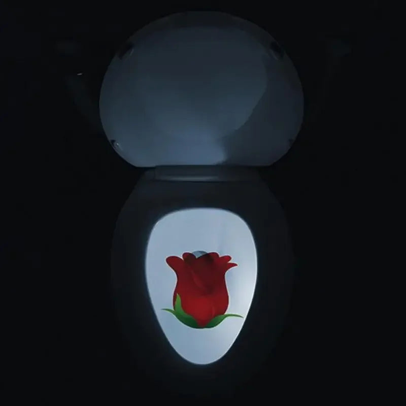 Fun Toilet Training Light for Kids