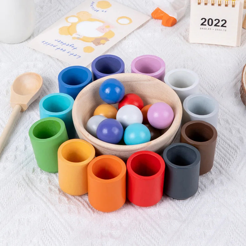 Montessori Wooden Sorting Toy for Toddlers
