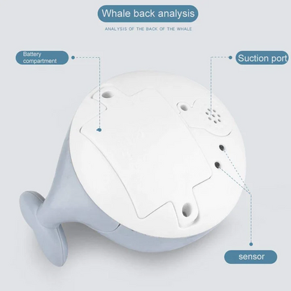 Whale Splash Toy