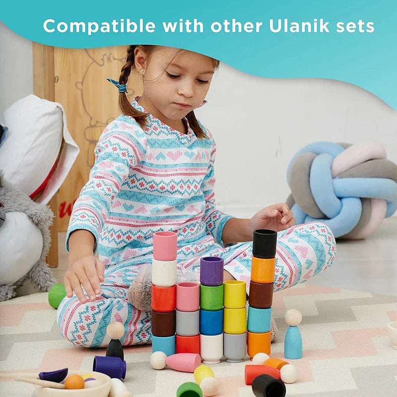 Montessori Wooden Sorting Toy for Toddlers